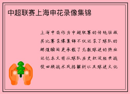 中超联赛上海申花录像集锦