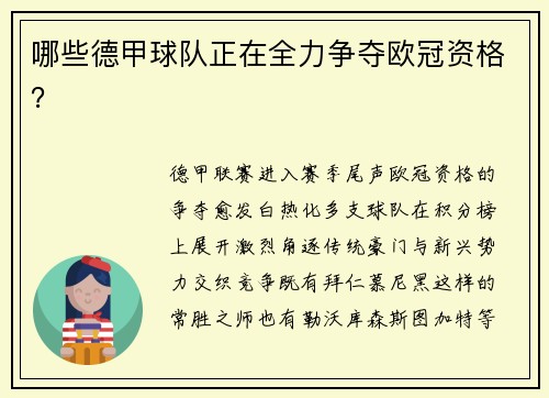 哪些德甲球队正在全力争夺欧冠资格？
